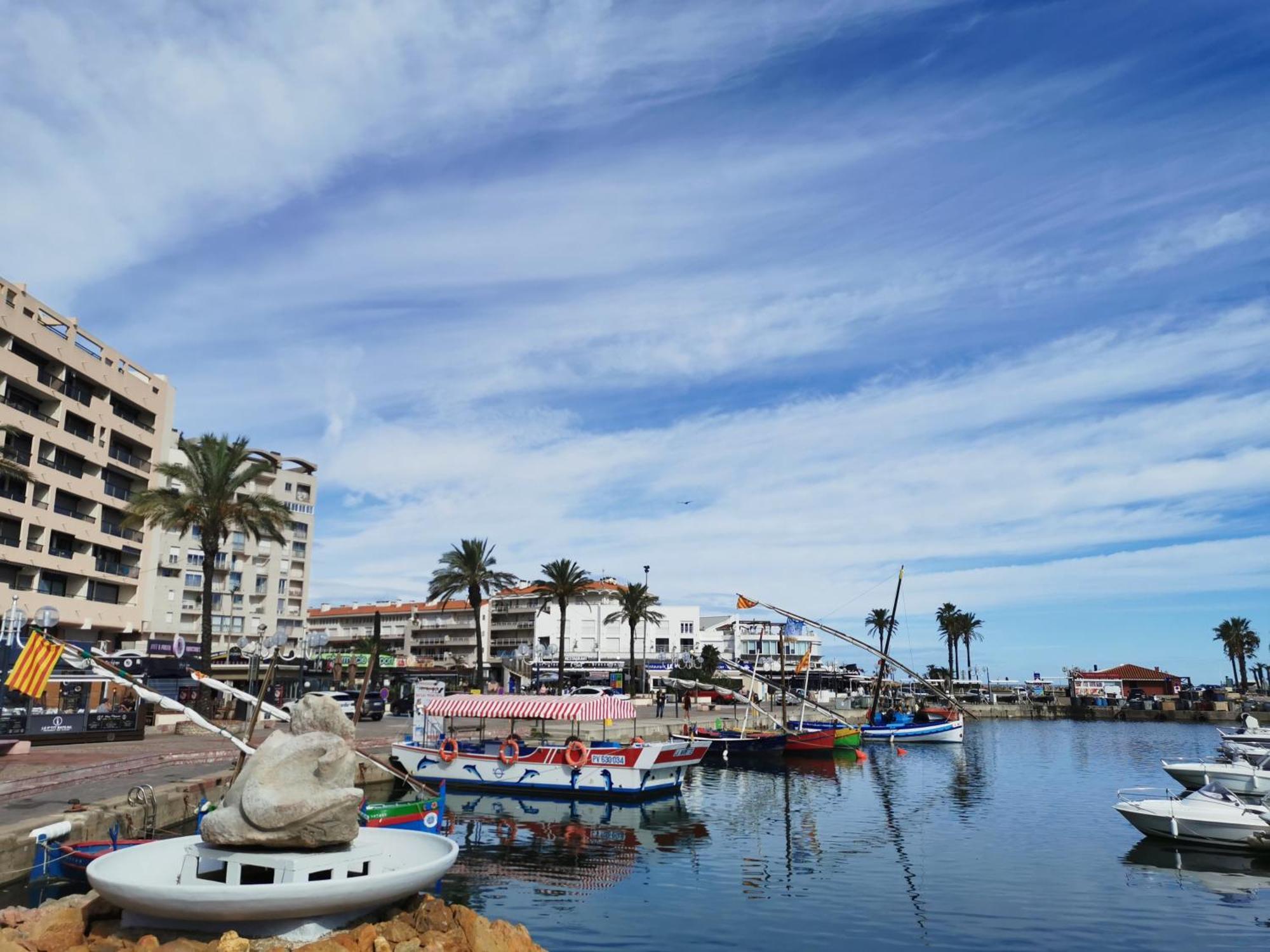 Appartement Refait A Neuf, Climatise Avec Vue Mer Et Montagne, Avec Place De Parking Privative Saint-Cyprien  Eksteriør bilde