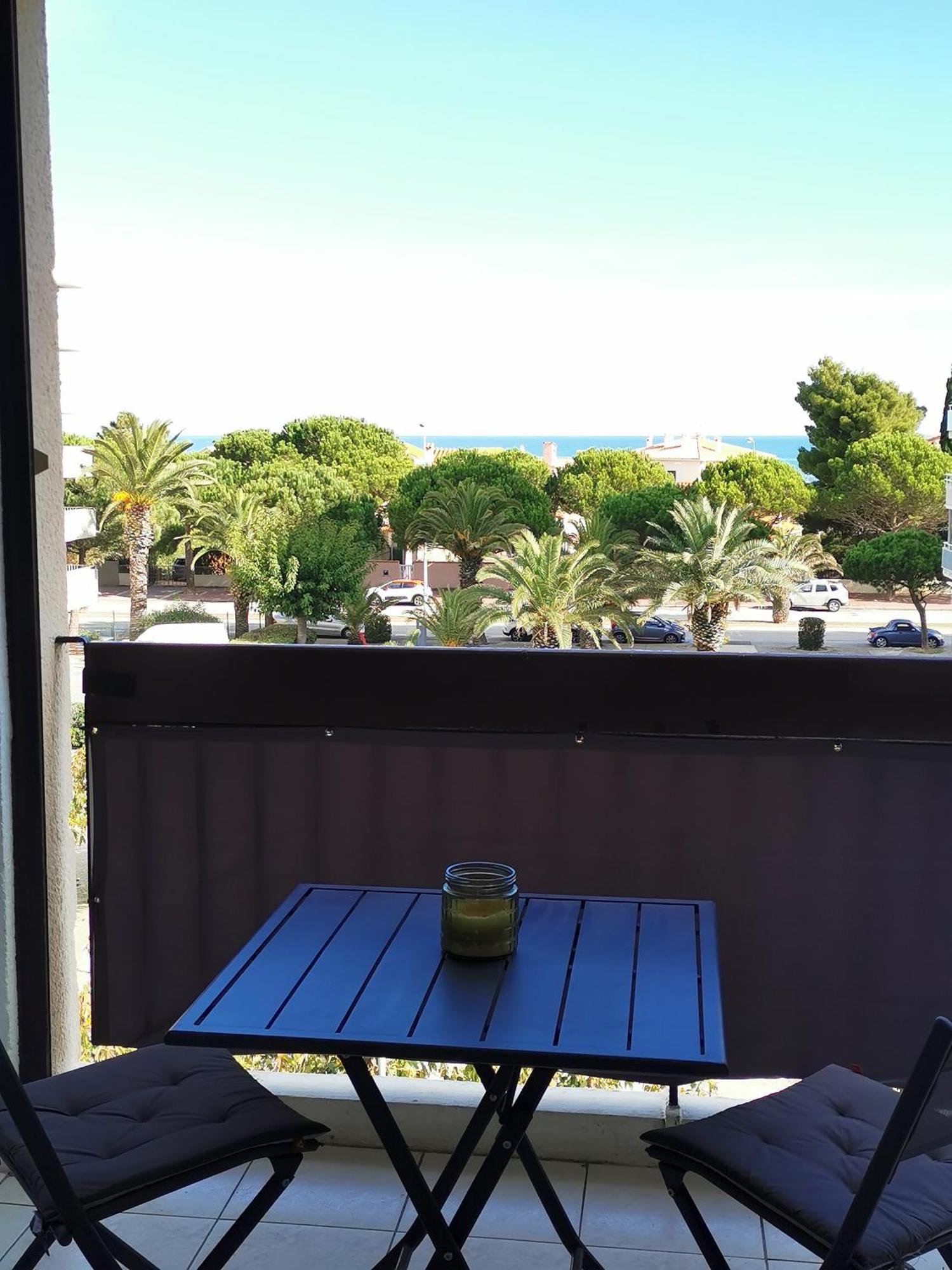 Appartement Refait A Neuf, Climatise Avec Vue Mer Et Montagne, Avec Place De Parking Privative Saint-Cyprien  Eksteriør bilde