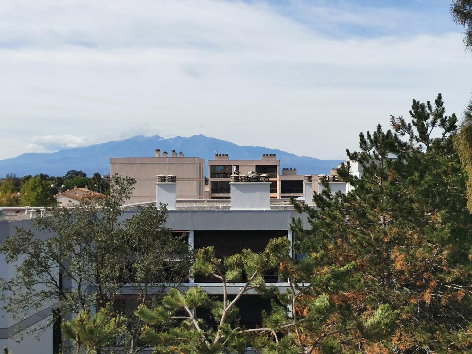 Appartement Refait A Neuf, Climatise Avec Vue Mer Et Montagne, Avec Place De Parking Privative Saint-Cyprien  Eksteriør bilde