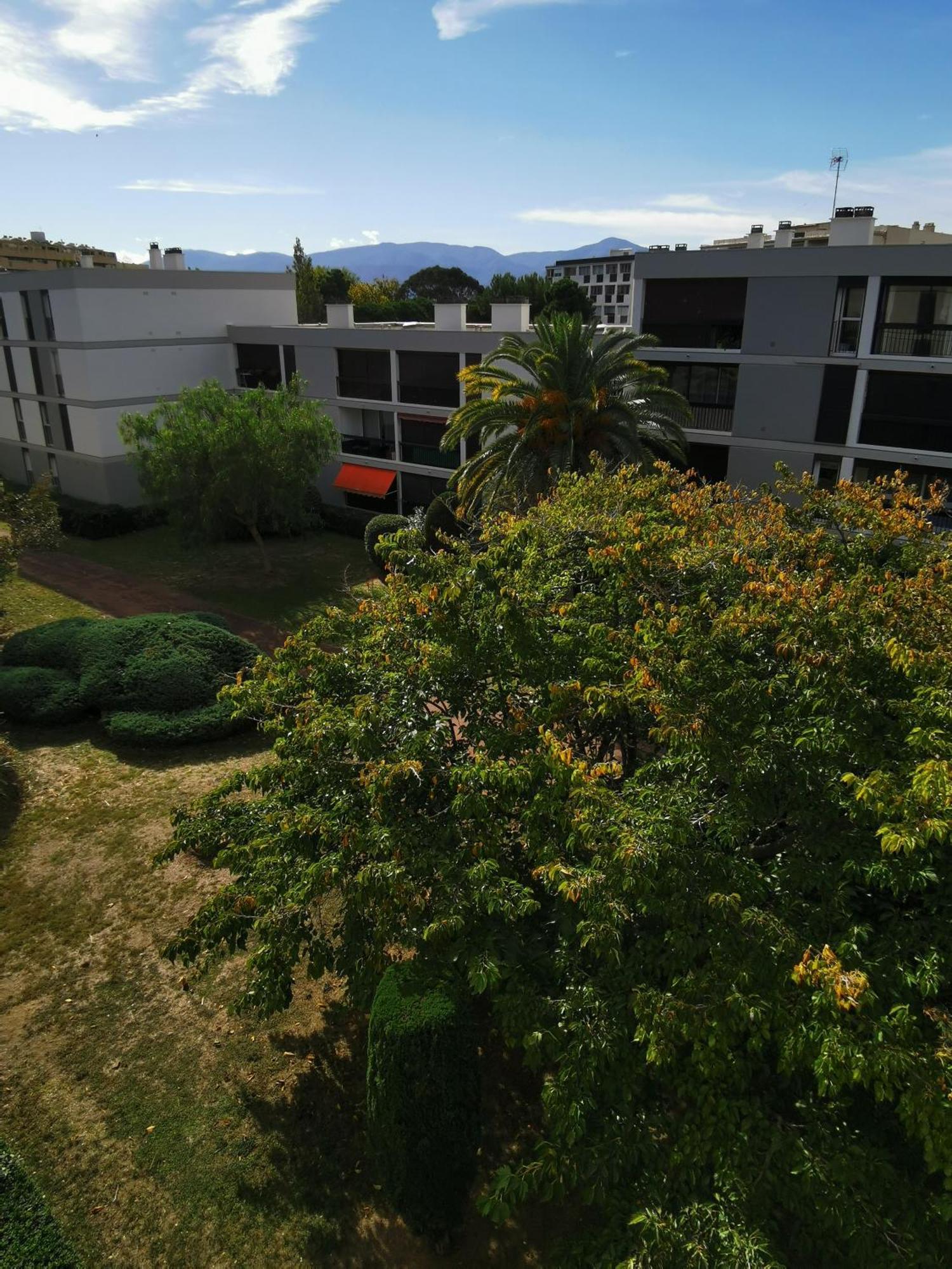 Appartement Refait A Neuf, Climatise Avec Vue Mer Et Montagne, Avec Place De Parking Privative Saint-Cyprien  Eksteriør bilde